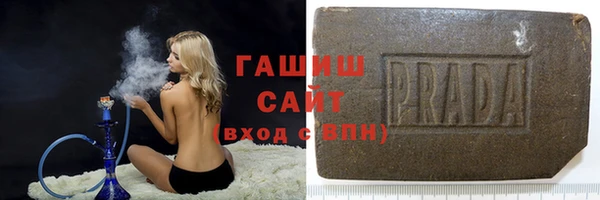 гашик Алексин