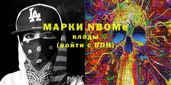 PSILOCYBIN Алзамай