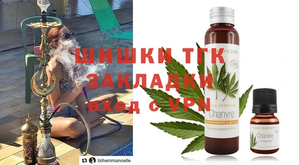 PSILOCYBIN Алзамай