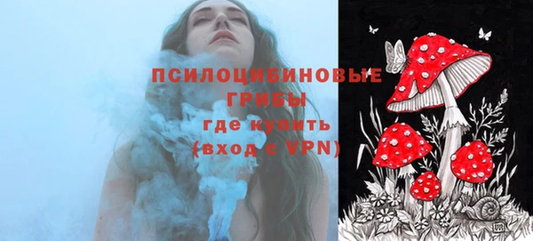 PSILOCYBIN Алзамай