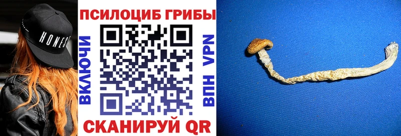 Псилоцибиновые грибы Psilocybe  Гагарин 